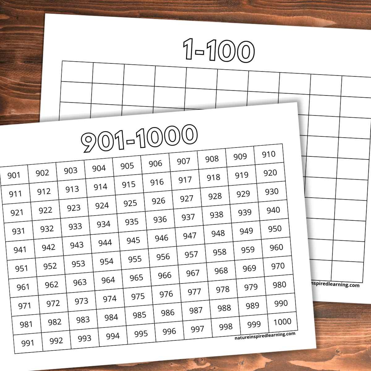 Numbers 1 1000 Chart Printable