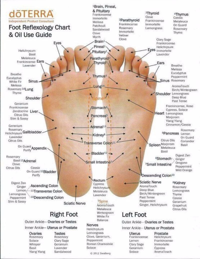 Free Printable Acupressure Points Chart Free Printable Acupressure Points Chart