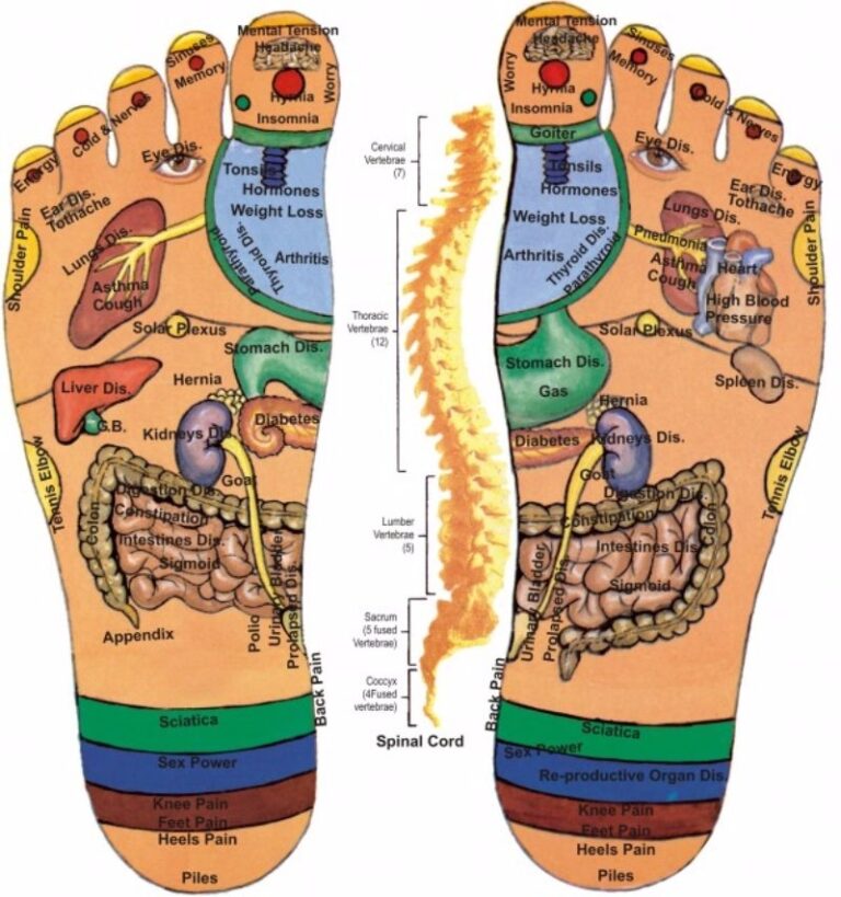 31 Printable Foot Reflexology Charts Maps TemplateLab