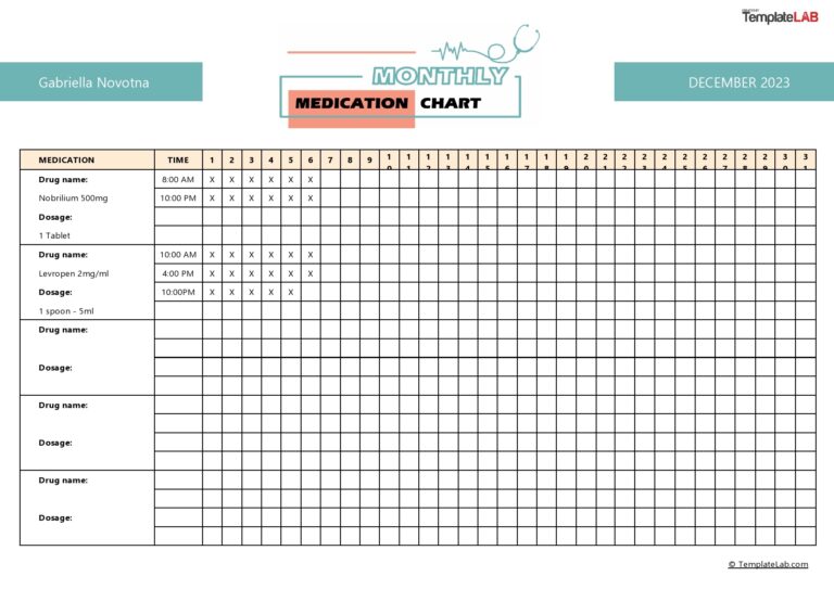 40 Great Medication Schedule Templates Medication Calendars 