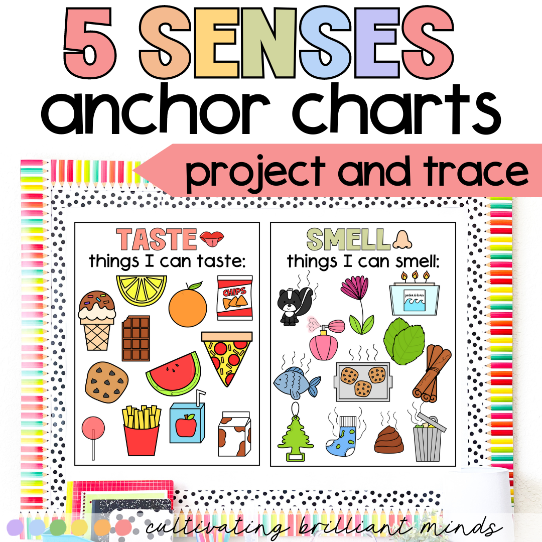 5 Senses Anchor Charts Kindergarten Anchor Charts First Grade Science Classful 5 Senses Anchor Charts Kindergarten Anchor Charts First Grade Science Classful