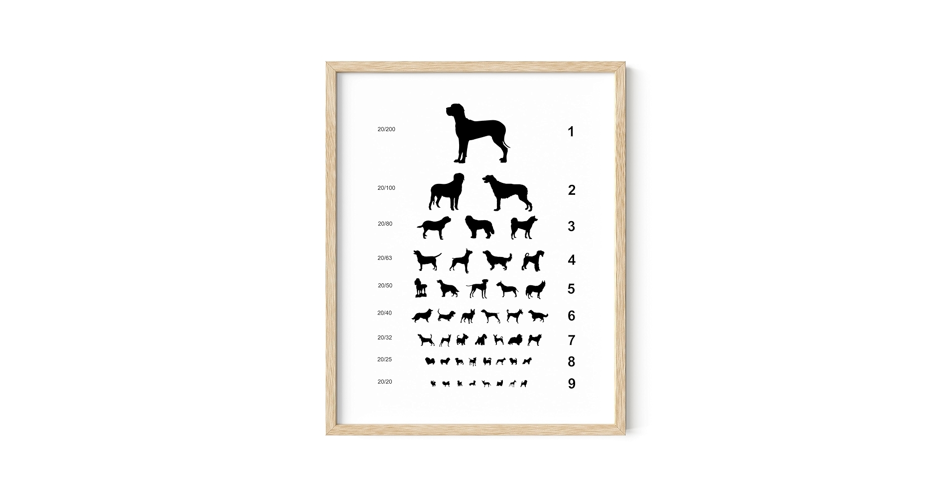 Amazon Summit Designs Dog Eye Chart Wall Art Veterinary Vision Test Print 11x14 Unframed Pet Decor Vet Office Dog Lover Gift Funny Animal Poster Breed Chart Posters Prints