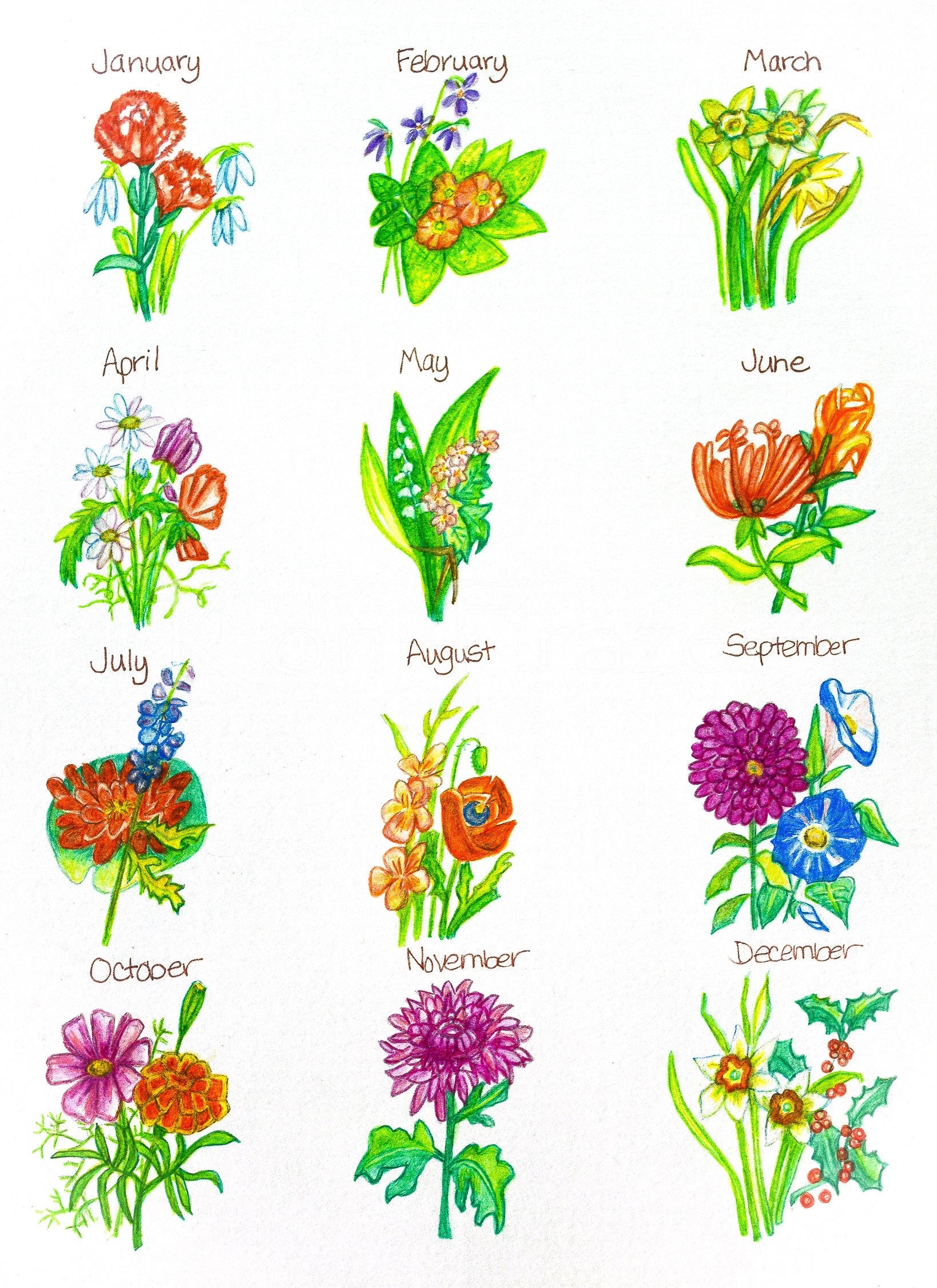Birth Month Flowers Chart Original Watercolor Painting 11x15 Etsy