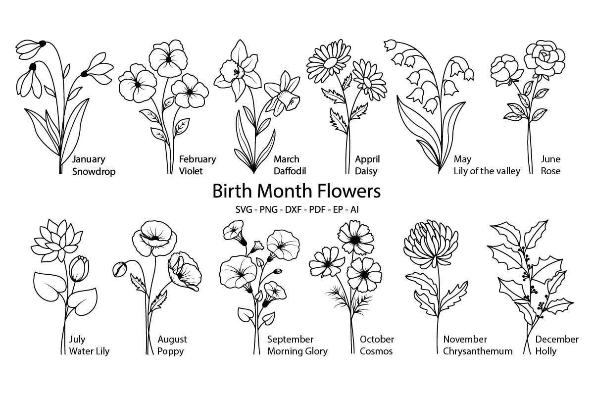 Birth Month Flowers Svg Birth Flower Svg Bundle