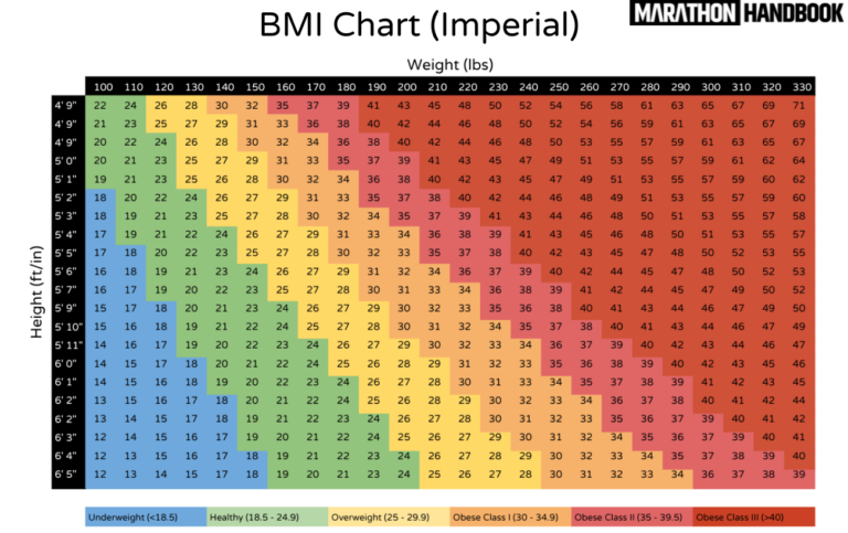 BMI Calculator Body Mass Index Healthy Weight Assessment