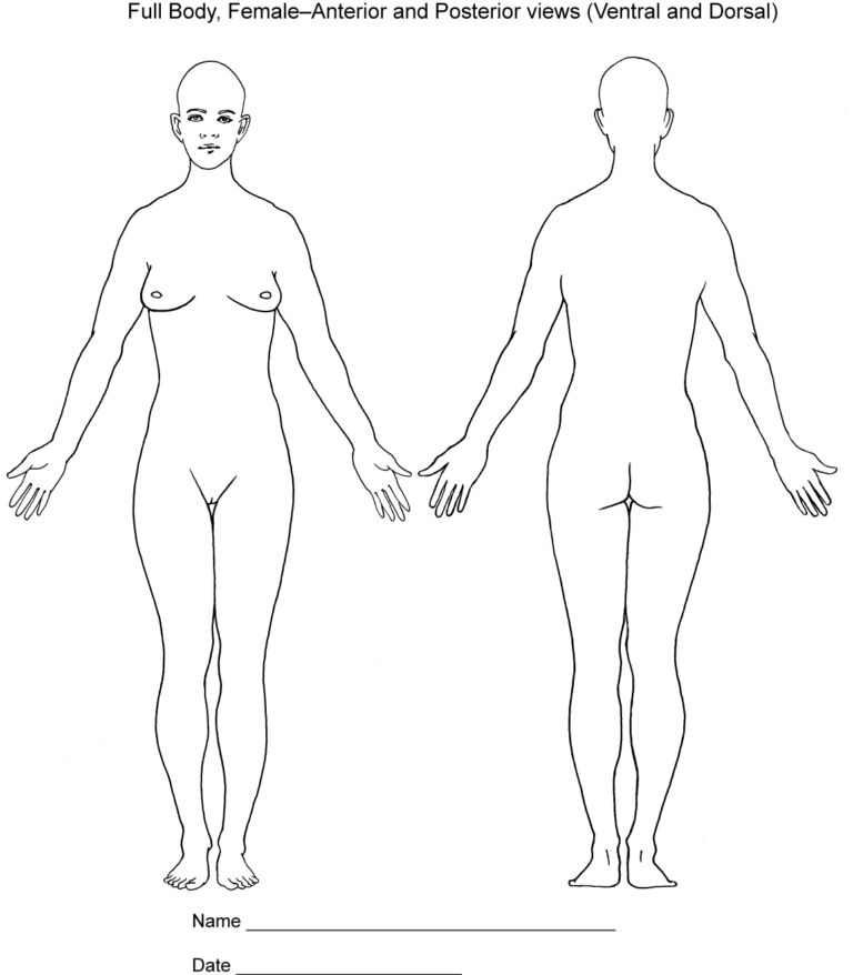 Body Diagrams Society Of Asylum Medicine