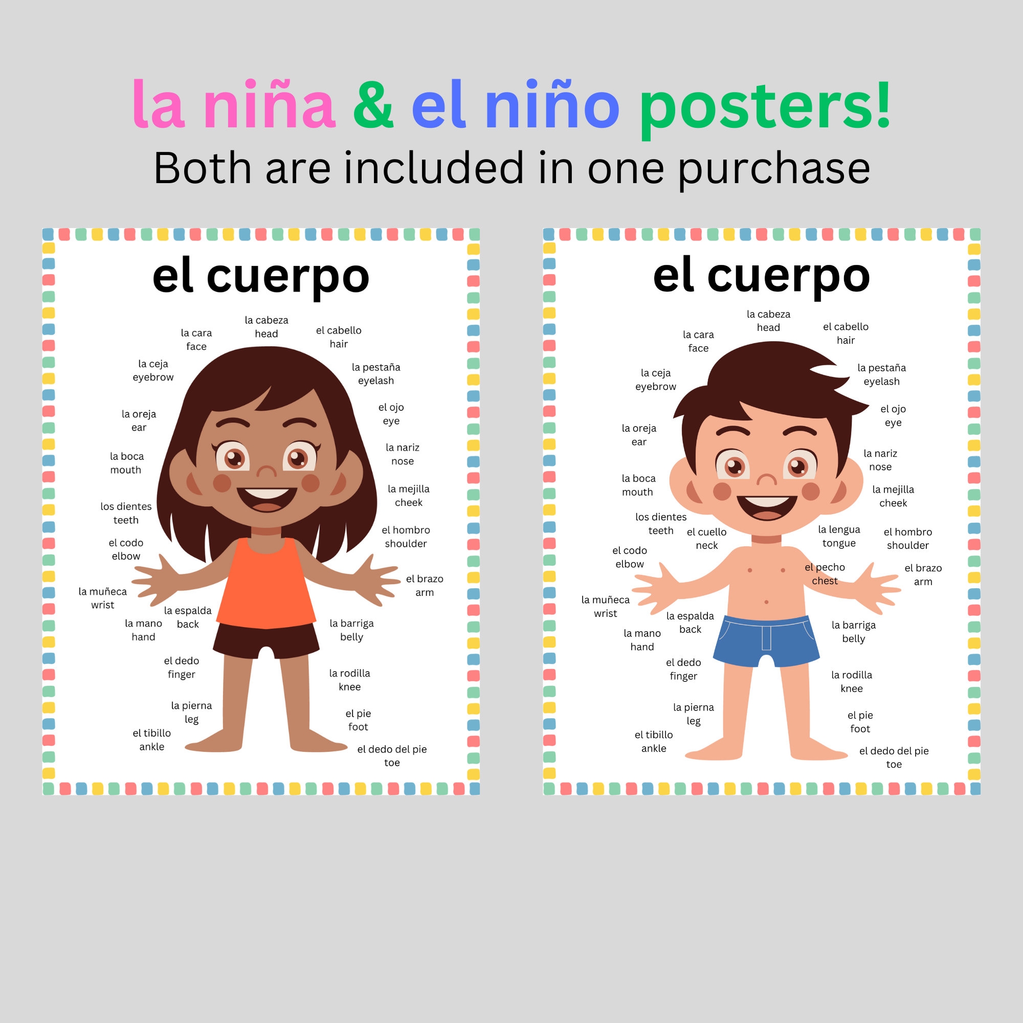 Printable Body Part Chart Espanol