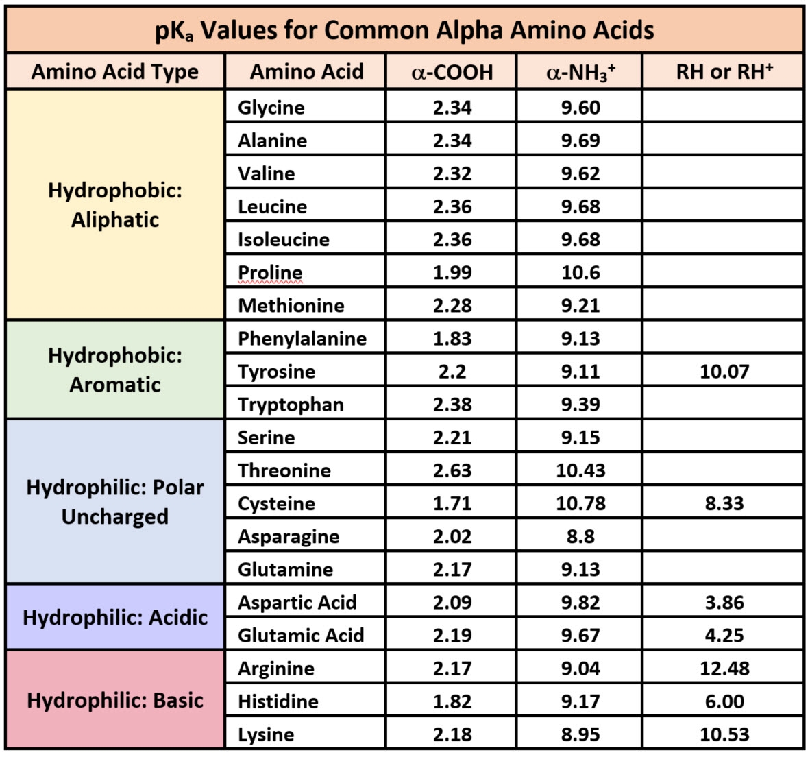Amino Acids Chart Printable Amino Acids Chart Printable