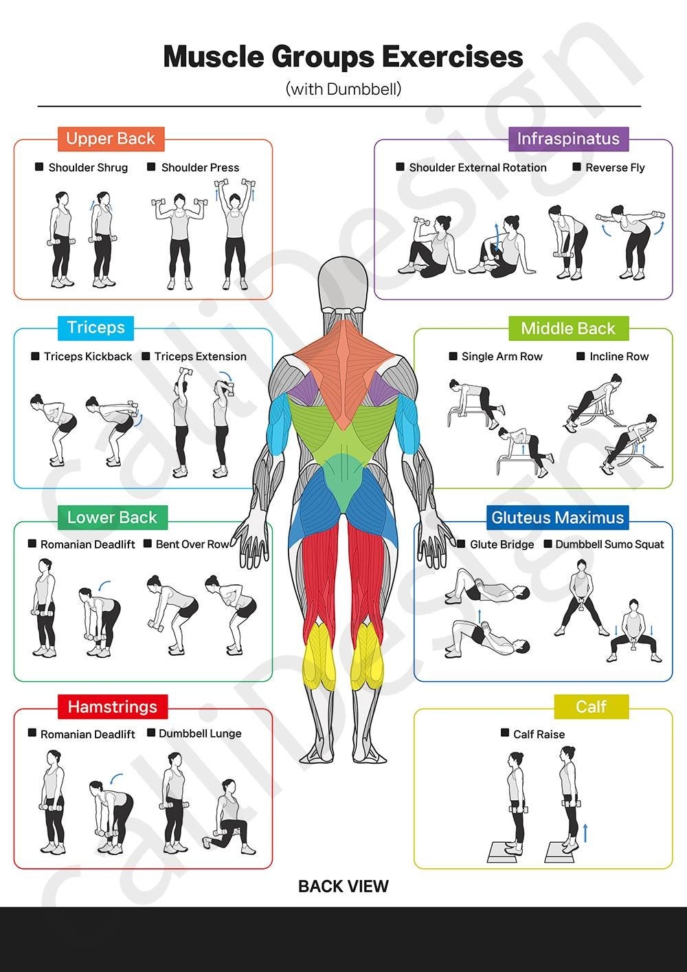 Chest Triceps Printable Workout Shoulder And Tricep Dumbbell Workout Two Illustration Of Exercises Using Dumbbells For