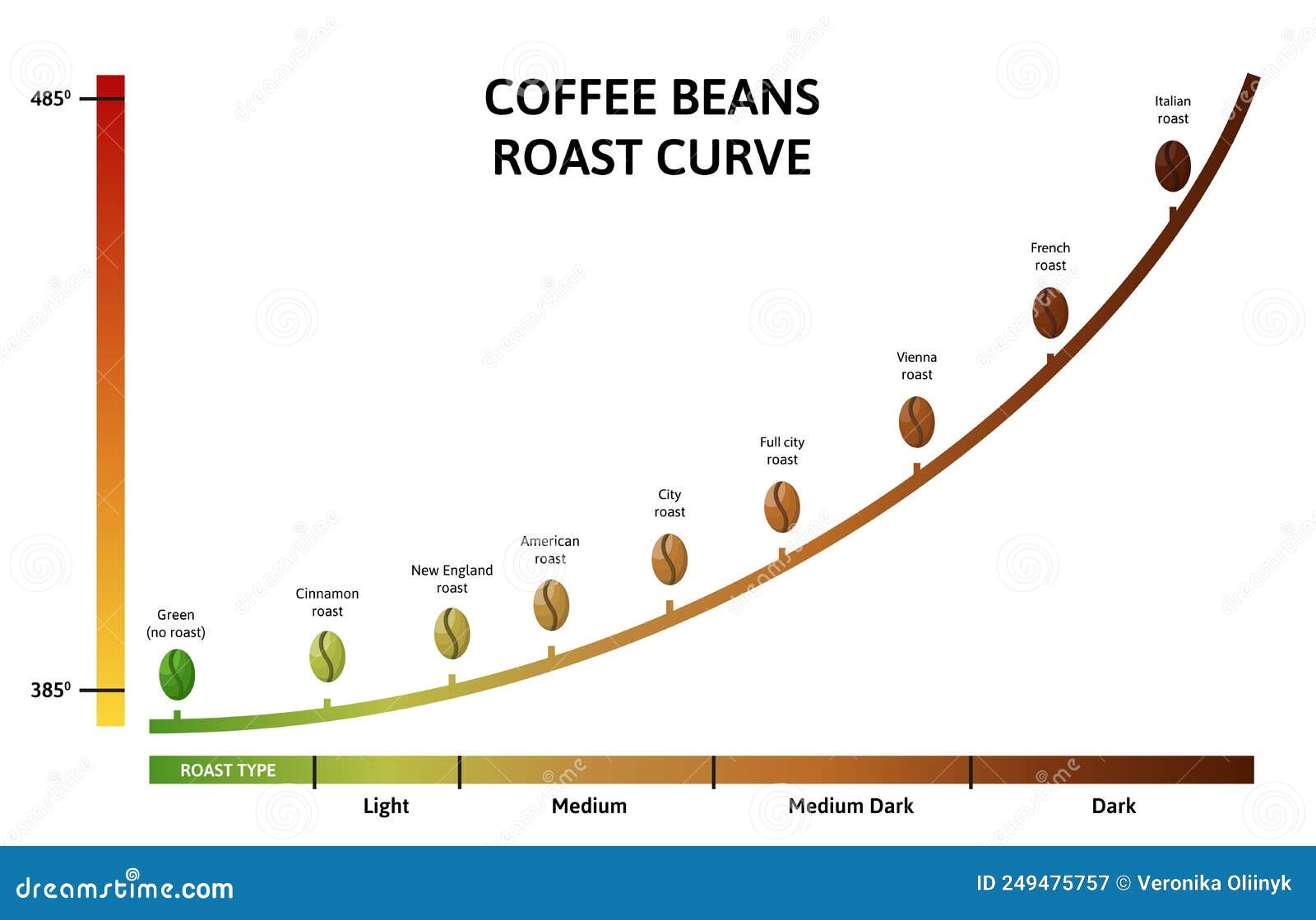 Coffee Roasting Levels Roast Curve Optimal Temperature For Roasting Beans Vector Illustration Stock Vector Illustration Of Roasted Bean 249475757