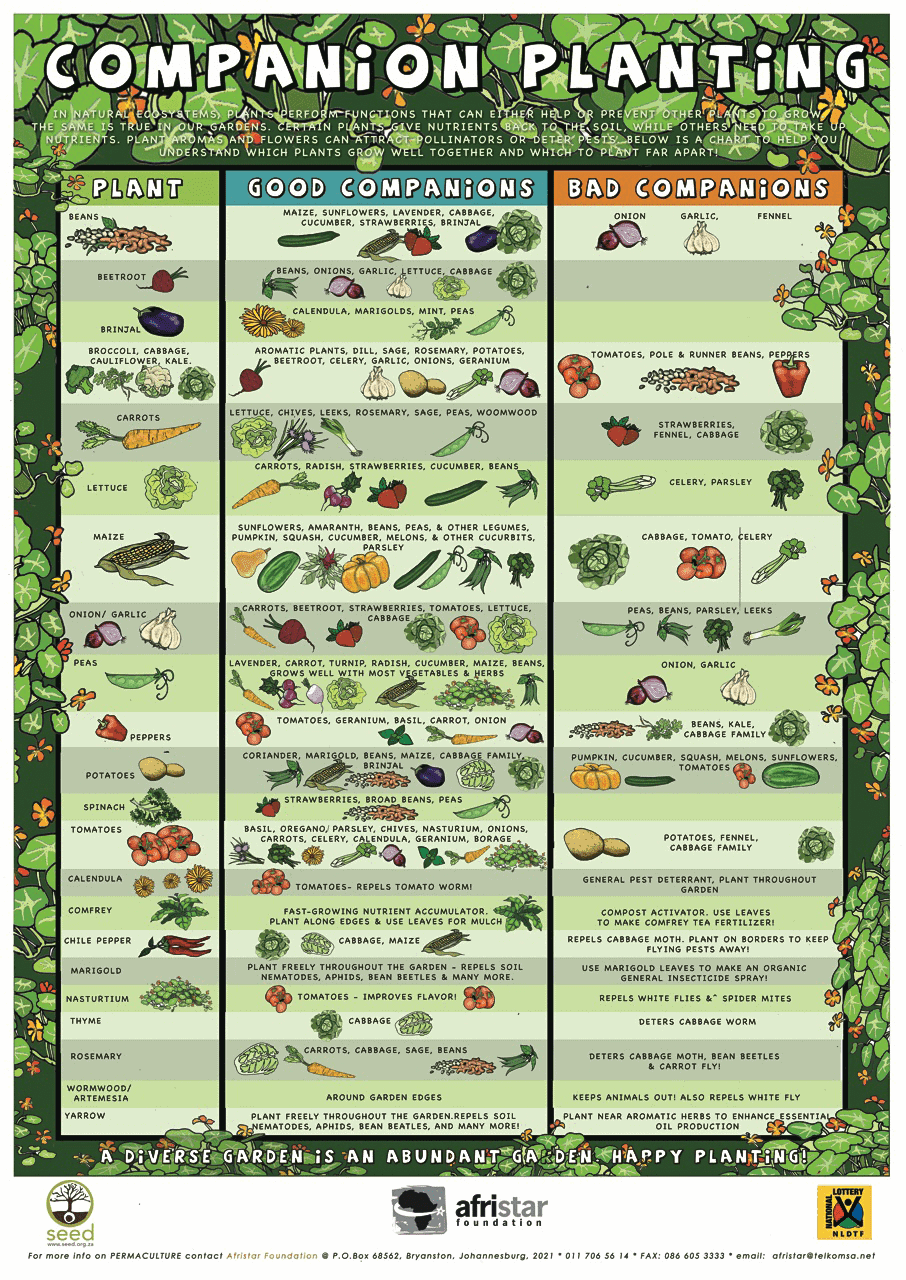 Collection Of Companion Planting Charts Guides And PDFs World Water Reserve