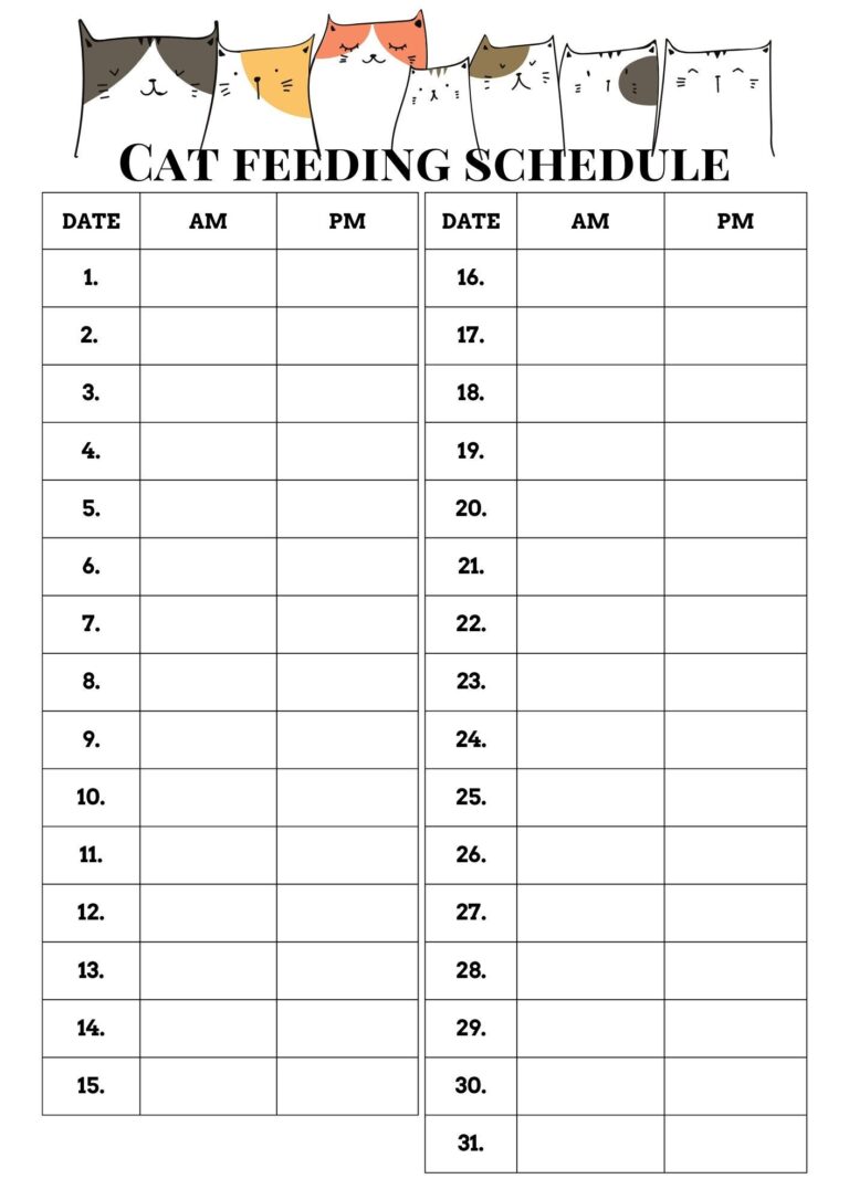 Custom Cat Feeding Schedule Personalized Printable Planner PDF Download Etsy