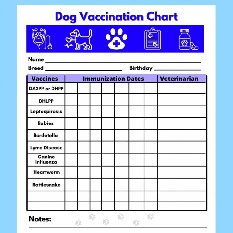 Dog Vaccine Printable Pet Printable Immunization Puppy Vaccinations Dog Health Digital Download Instant Download PDF Etsy