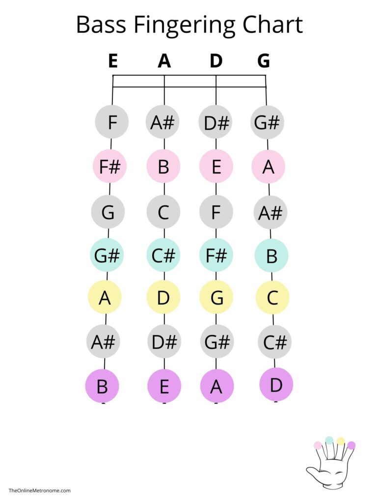 Double Bass Fingering Chart The Online Metronome
