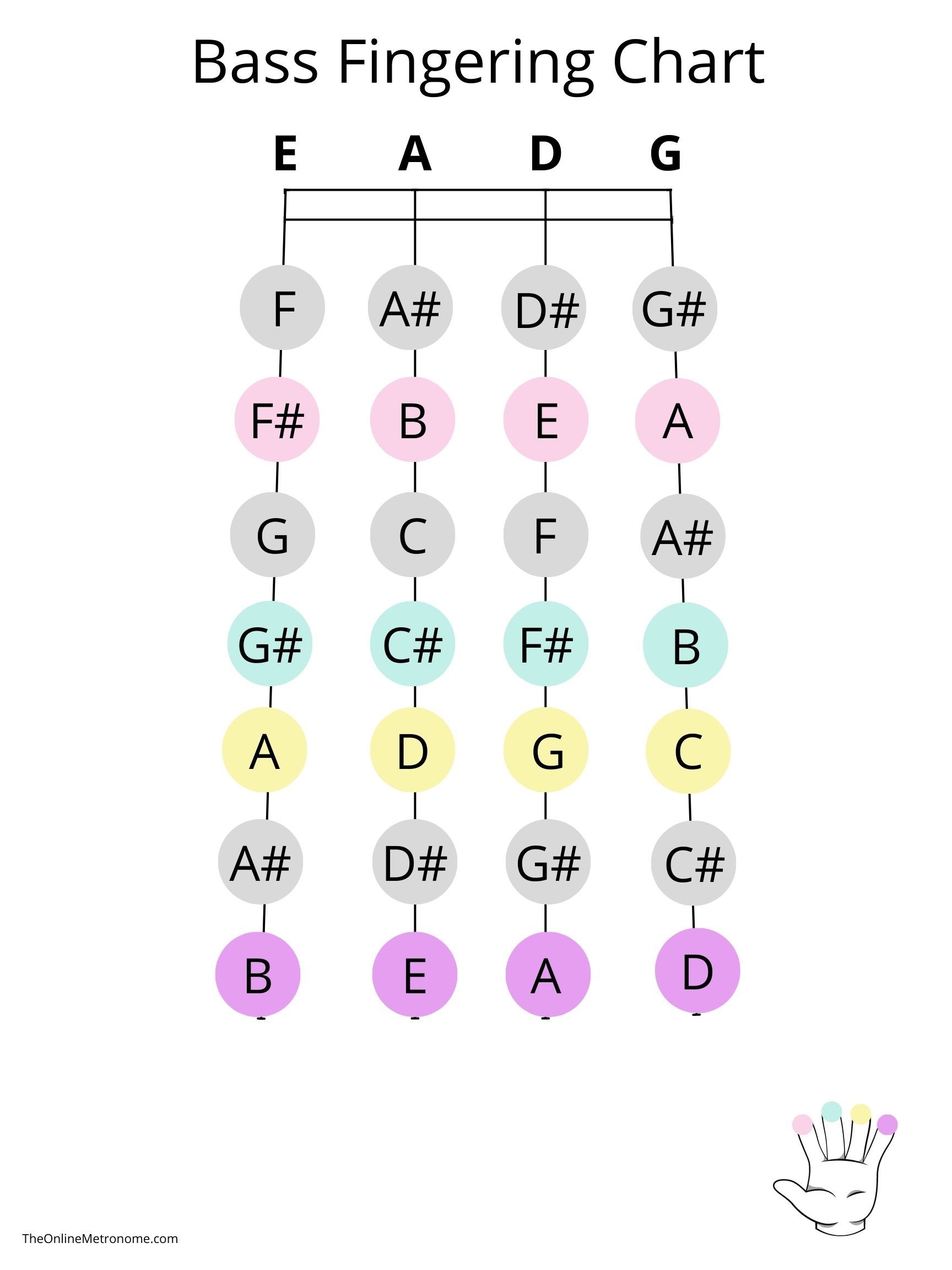 Double Bass Fingering Chart The Online Metronome