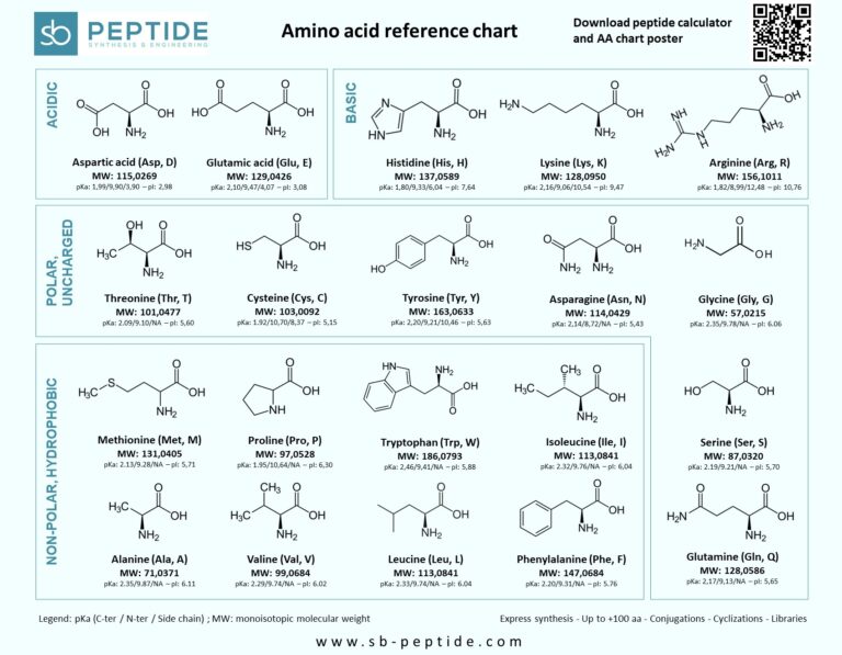 Download Amino Acids Chart And Reference Table