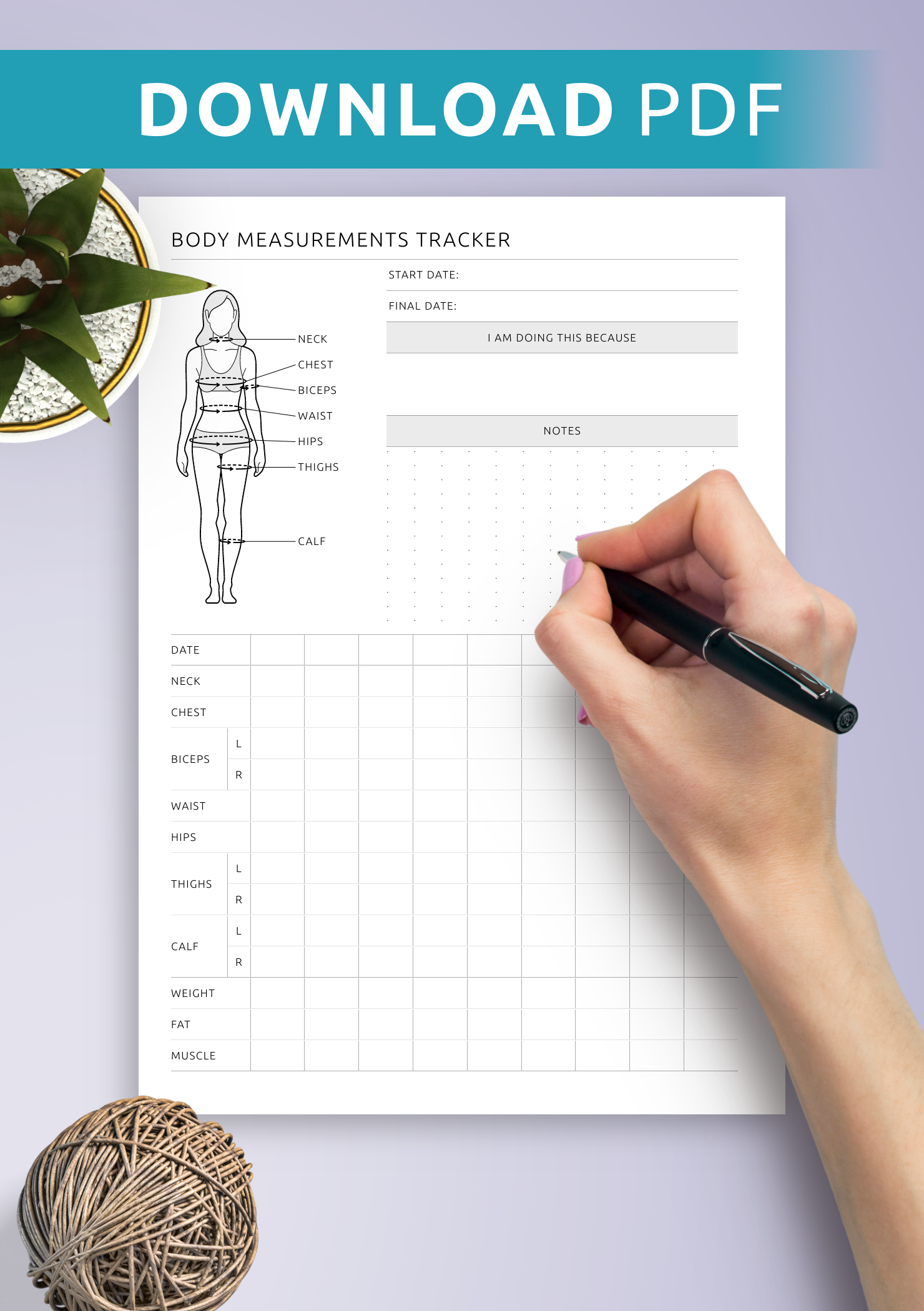 Download Printable Body Measurement Tracker Female PDF