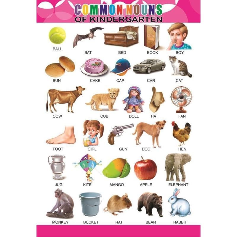 Editone International Common Noun Chart Laminated Educational Wall Poster For Kids Preschool And Primary School Bright Engaging Learning Aid For Home Classroom Editone International Amazon in Books Editone International Common Noun Chart Laminated Educational Wall Poster For Kids Preschool And Primary School Bright Engaging Learning Aid For Home Classroom Editone International Amazon in Books