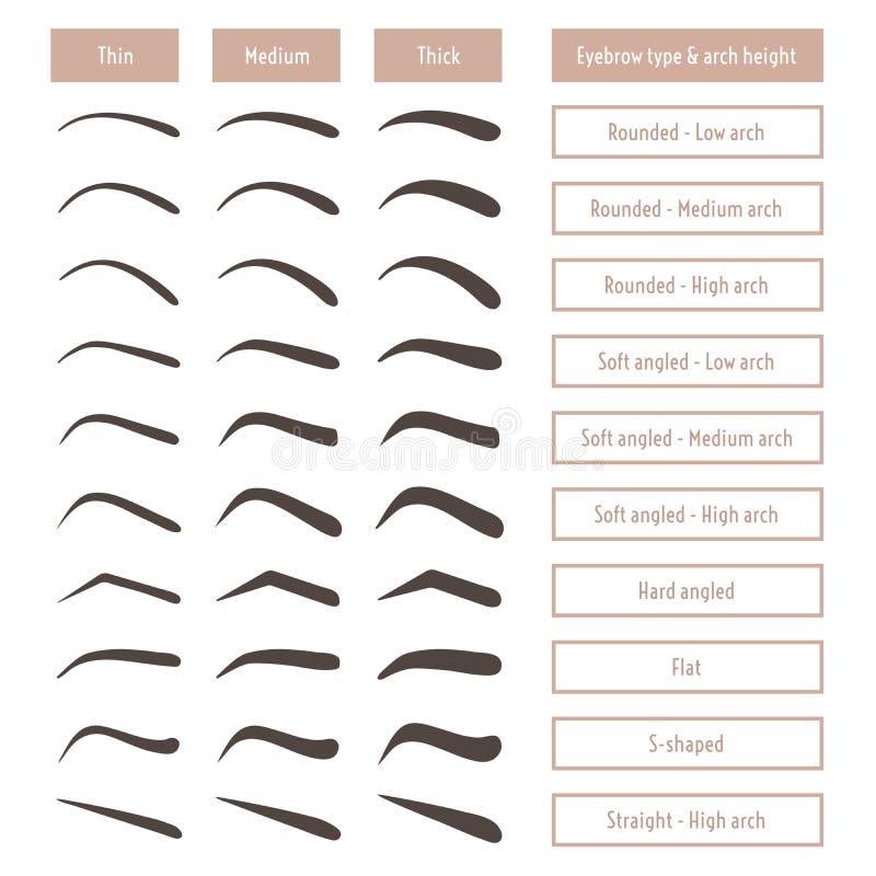 Eyebrow Shapes Stock Illustrations 838 Eyebrow Shapes Stock Illustrations Vectors Clipart Dreamstime