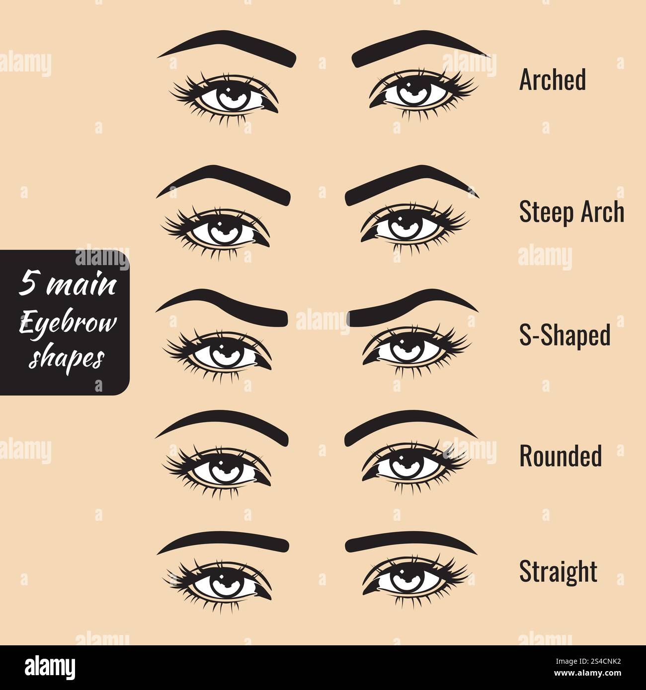 Eyebrow Types Hi res Stock Photography And Images Alamy