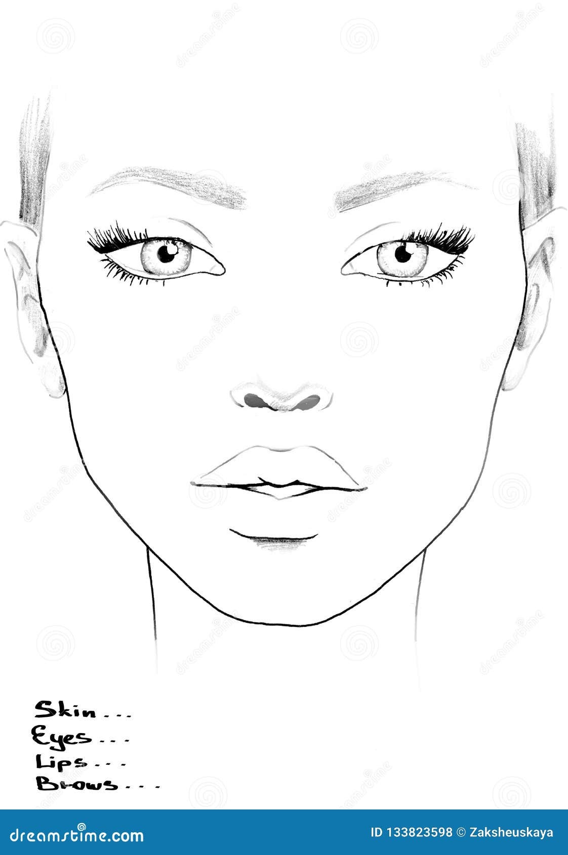 Face Chart Makeup Artist Blank Beautiful Woman Portrait Face Chart Makeup Artist Blank Template Stock Illustration Illustration Of Brows Element 133823598 Face Chart Makeup Artist Blank Beautiful Woman Portrait Face Chart Makeup Artist Blank Template Stock Illustration Illustration Of Brows Element 133823598