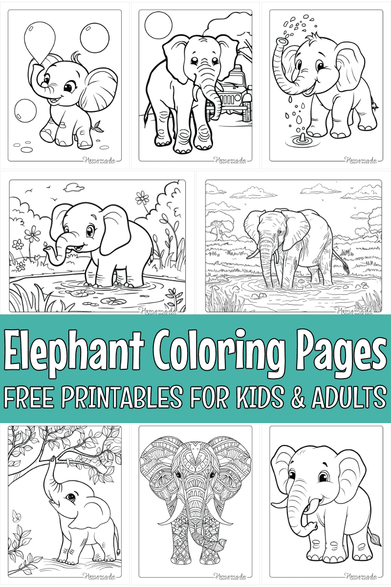 Free Elephant Coloring Pages Printable PDF 