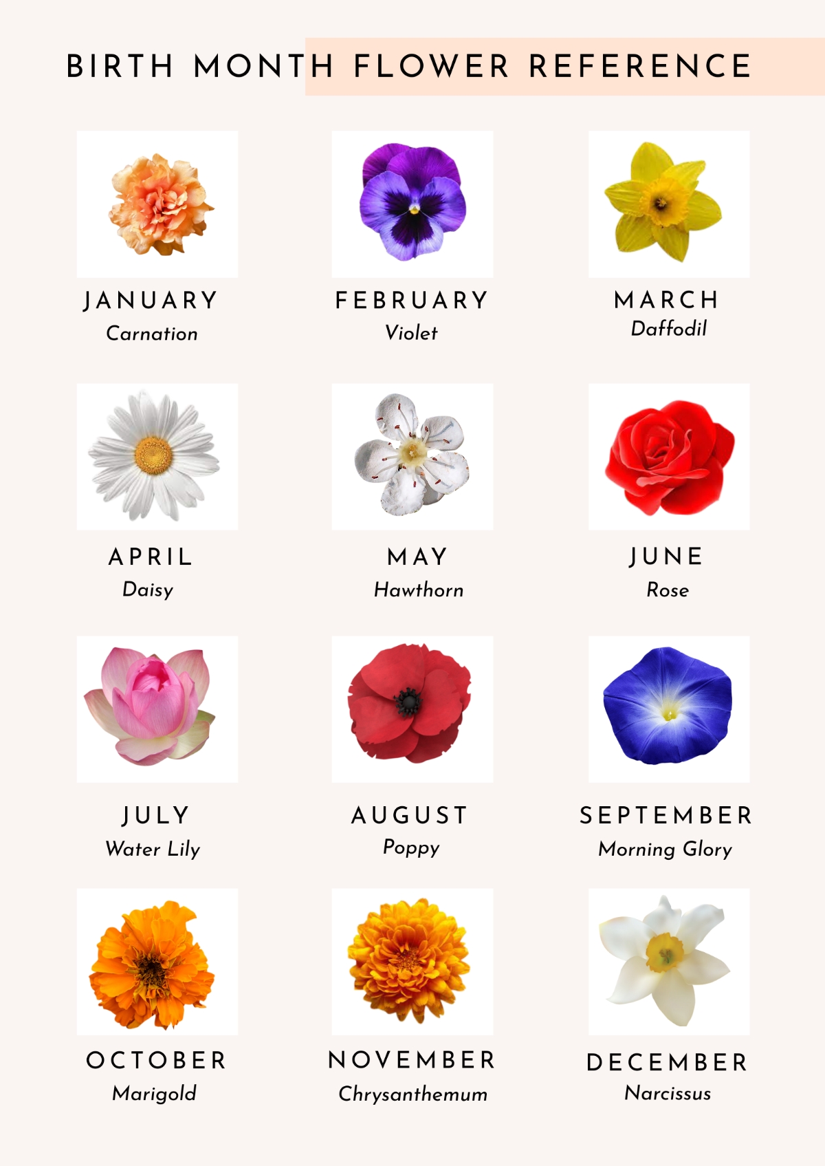 Birth Month Flowers Chart Printable