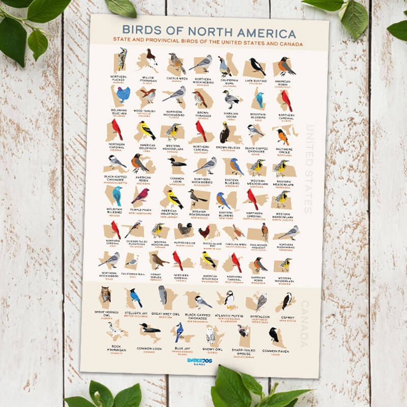 Get Our List Of State Birds Posters Get Our List Of State Birds Posters