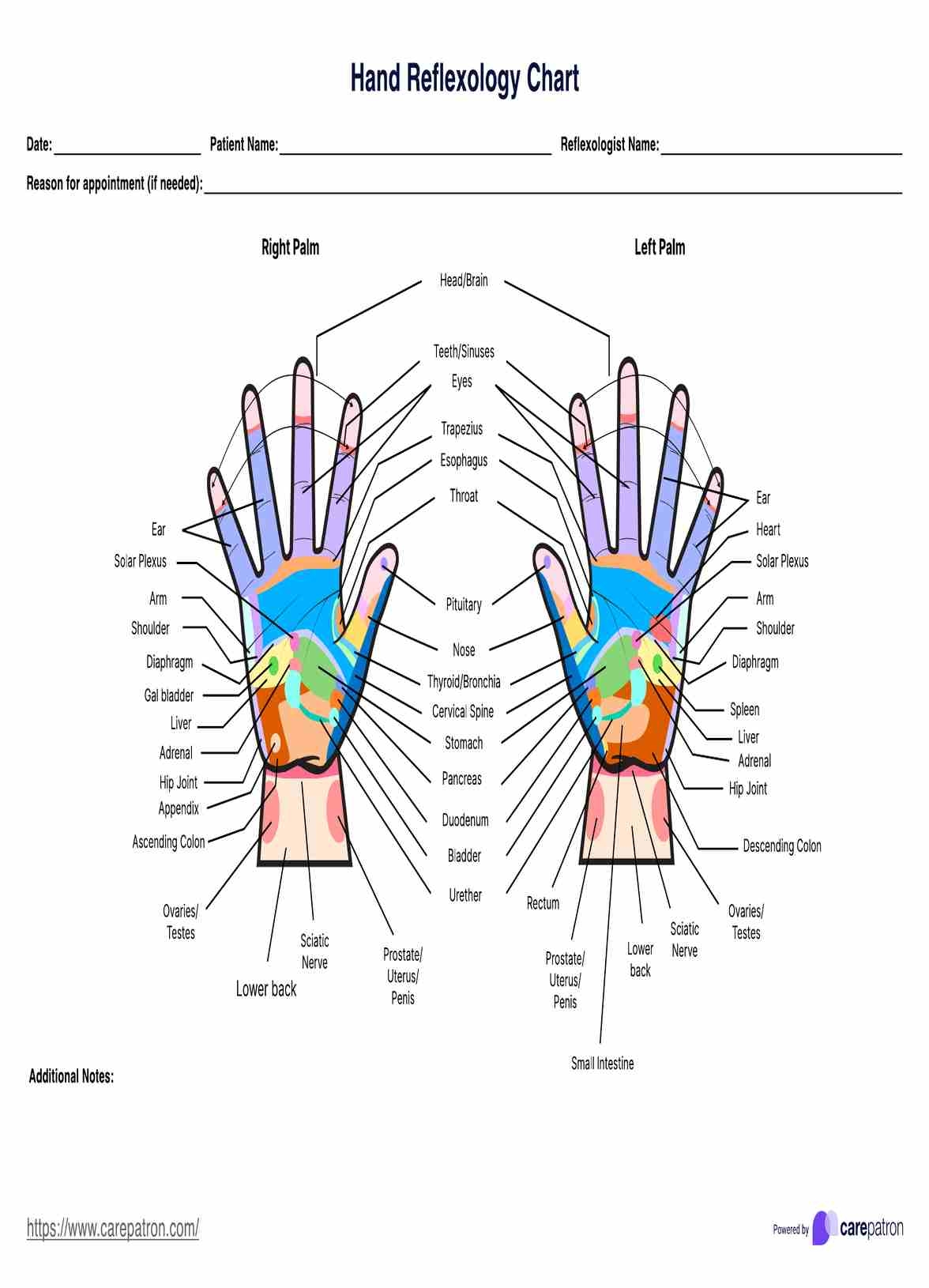 Hand Reflexology Charts Hand Reflexology Charts