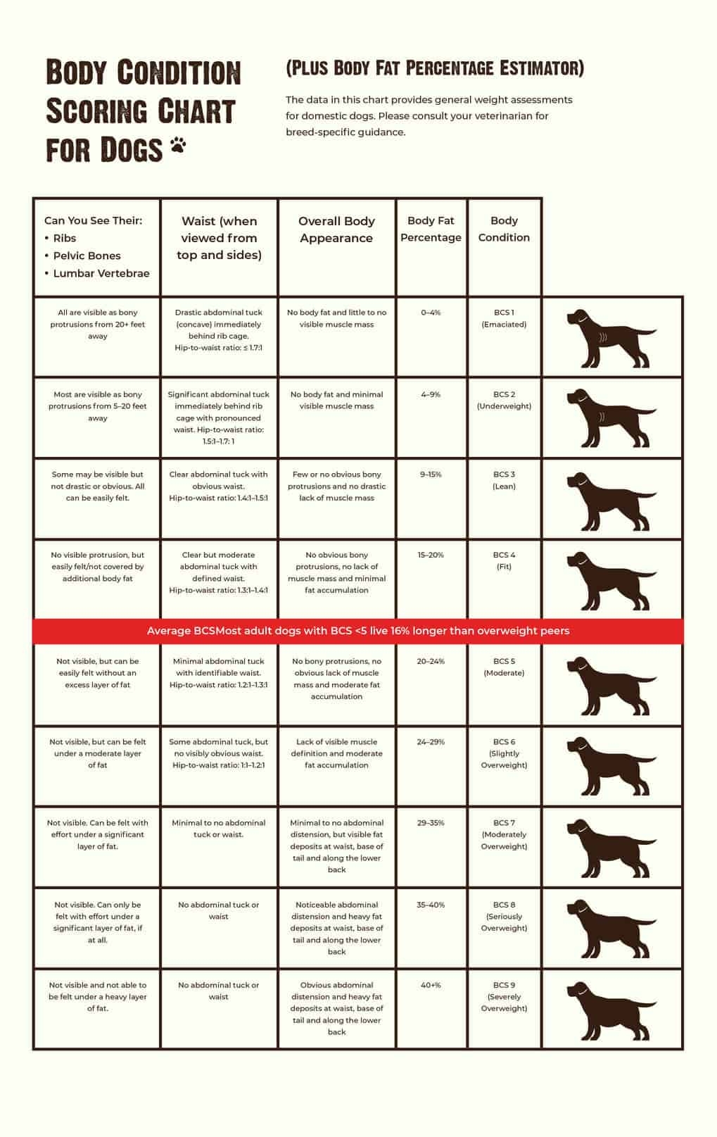 How Much Should You Feed Your Dog Canine BCS Chart More RAWZ