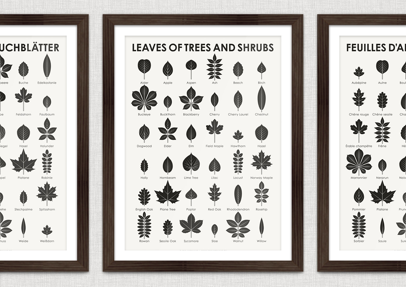 Printable Leaf Identification Charts Printable Leaf Identification Charts