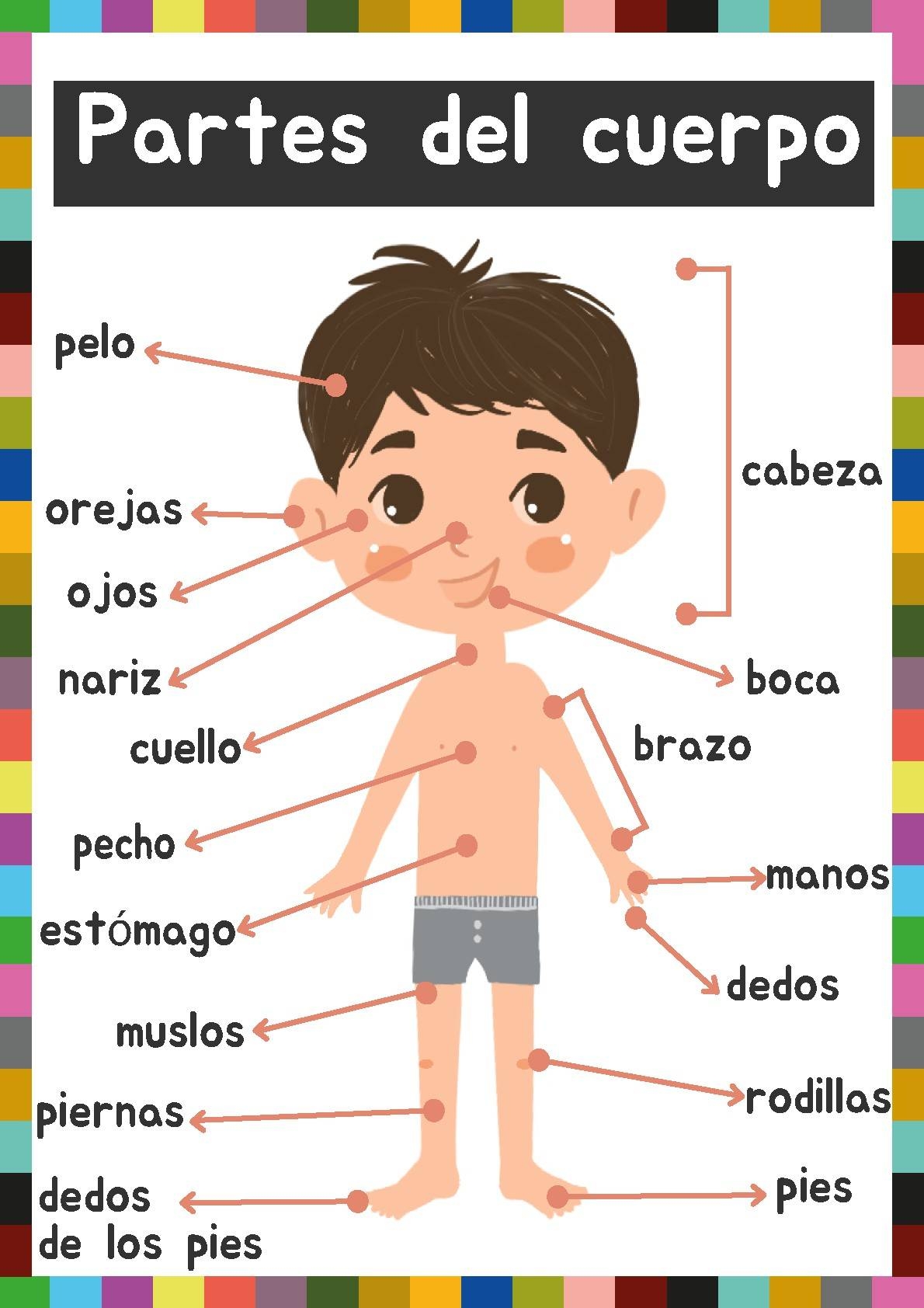 Parts Of A Human Body In Spanish Body Parts Back To School By TEACHER GAIA