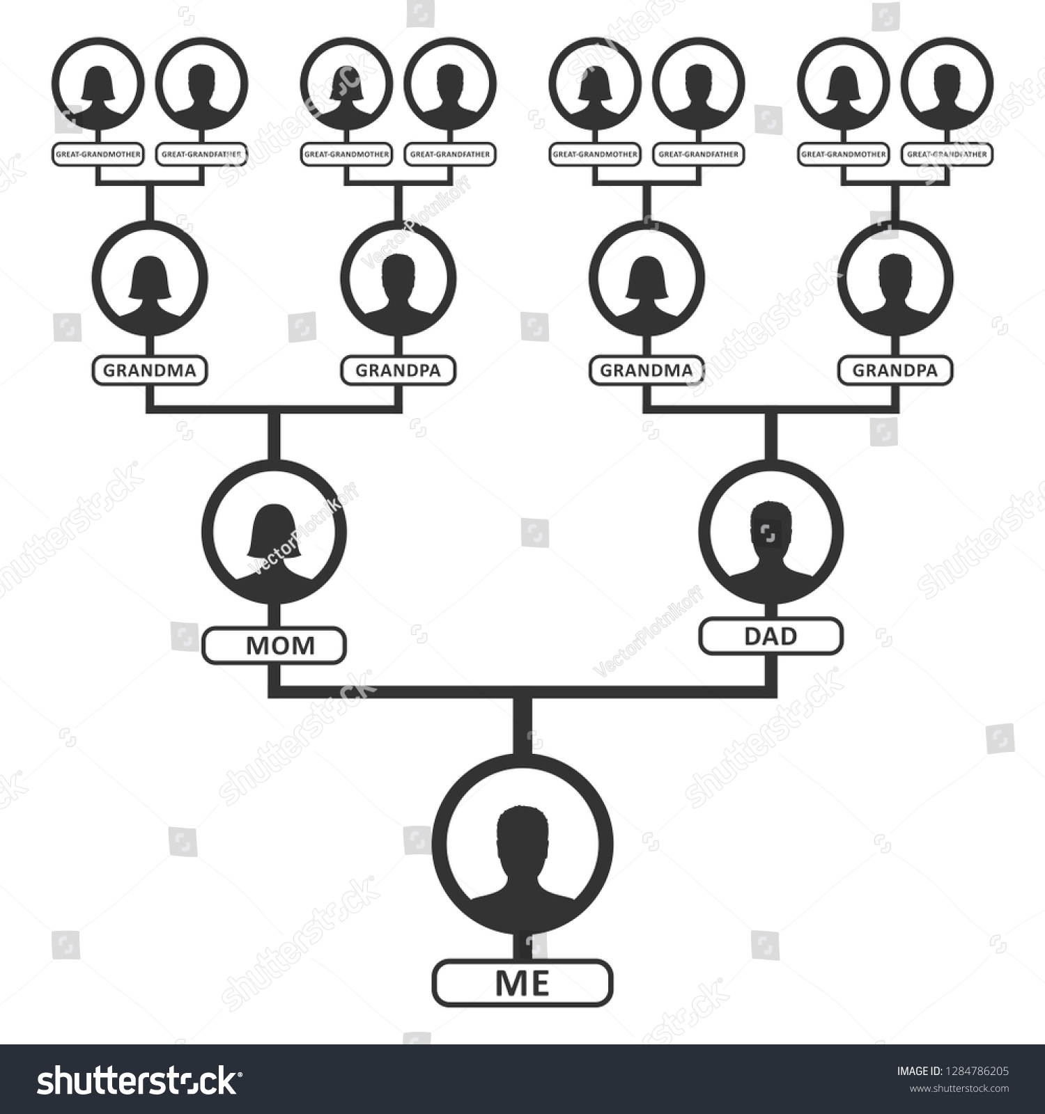 Pedigree Chart Posters 15 Pack Family Tree Charts Fill in 8 Generation Blank Genealogy Posters For Family History Reunions Blank Family History Posters