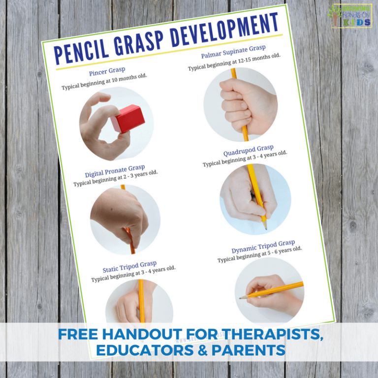 Pencil Grasp Development Handout For Parents Educators And Therapists