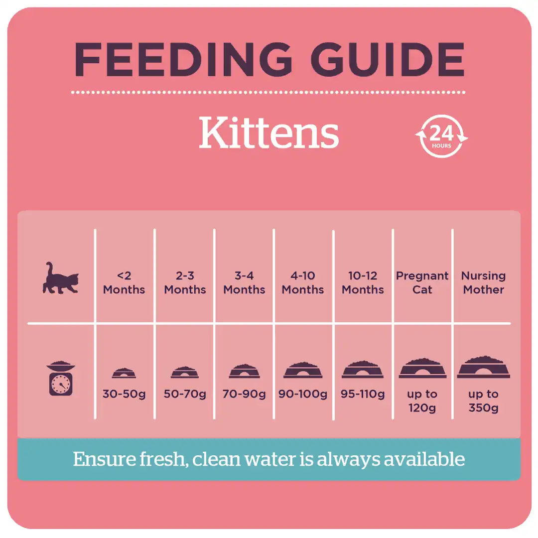 Cat Feeding Chart Printable