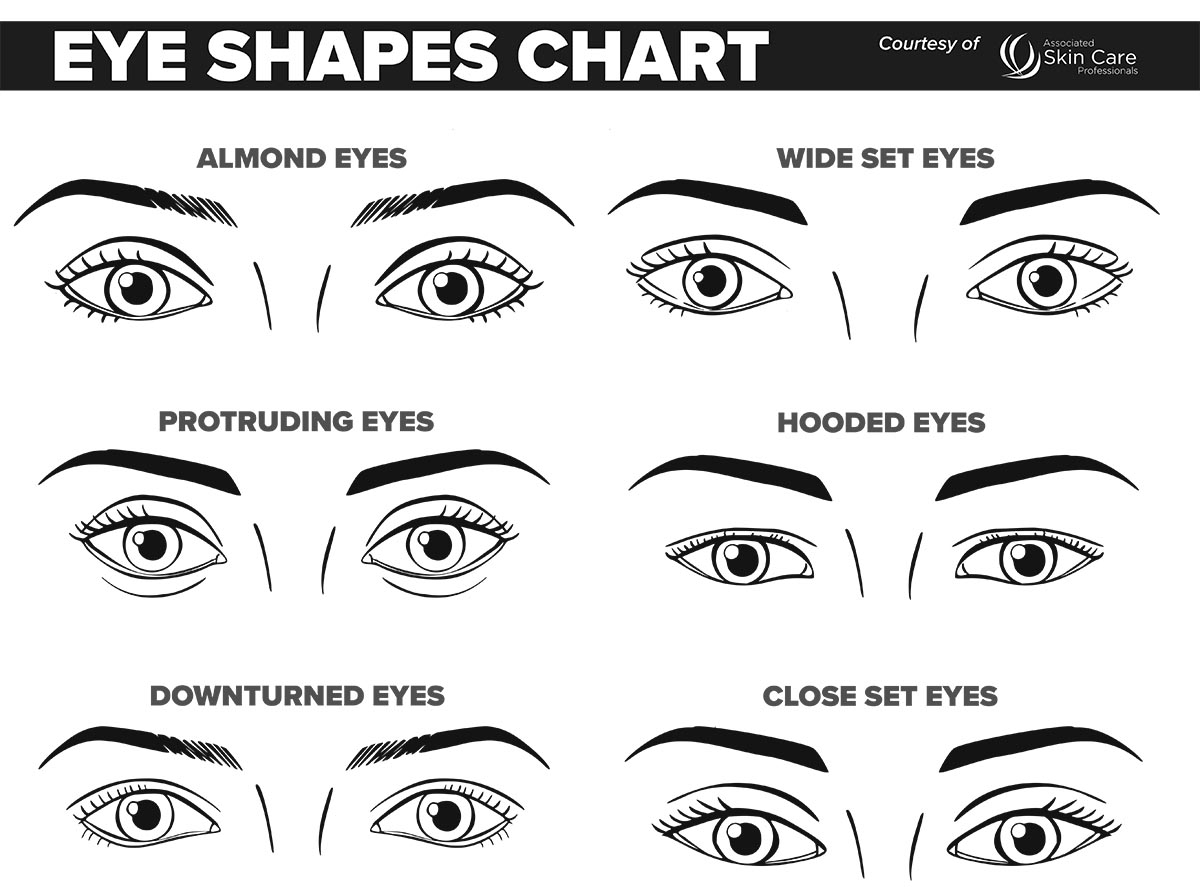 Printable Makeup Face Charts Eye Shape Chart ASCP Printable Makeup Face Charts Eye Shape Chart ASCP