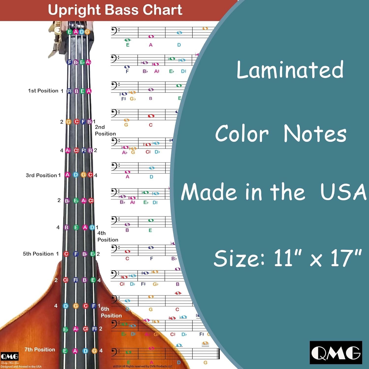 Free Printable Double Bass Fingering Chart