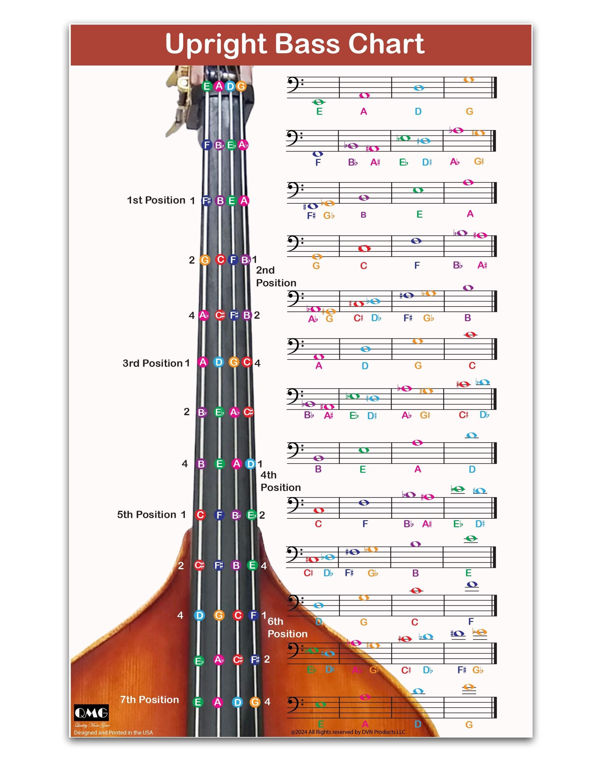 QMG Upright Bass Fingering Chart With Color coded Notes Double Bass Chart Suitable For All Levels Laminated Size 11 X 17 Etsy