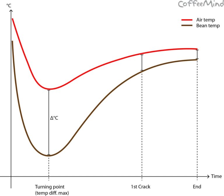 Roast Profile Analysis CoffeeMind