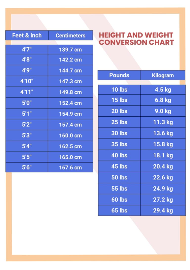 Simple Height And Weight Conversion Chart In Illustrator PDF Download Template