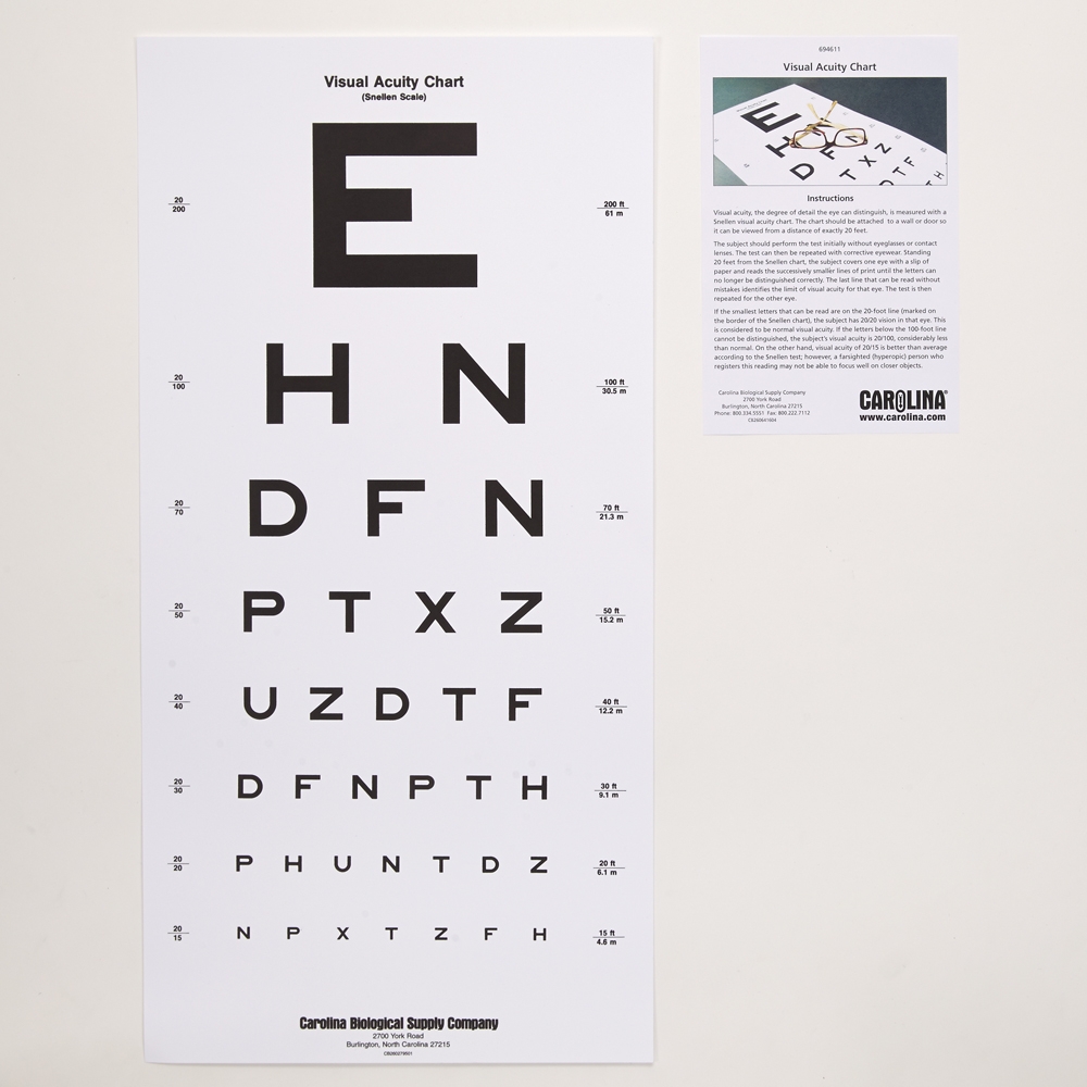 Snellen Eye Examination Chart Pack Of 3 Carolina Biological Supply