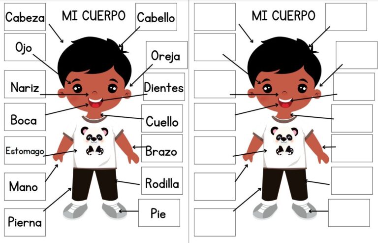 SPANISH Body Parts For Kids Interactive Printable Study Guide Body Anatomy Science Unit Healthcare Study Etsy