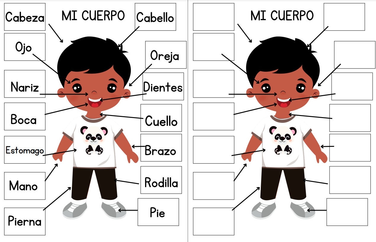SPANISH Body Parts For Kids Interactive Printable Study Guide Body Anatomy Science Unit Healthcare Study Etsy
