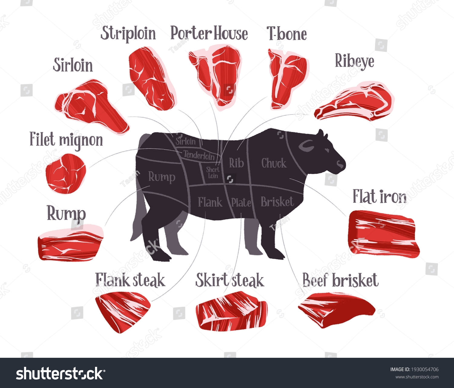 Steak Cuts Set Beef Cuts Chart Stock Vector Royalty Free 1930054706 Shutterstock
