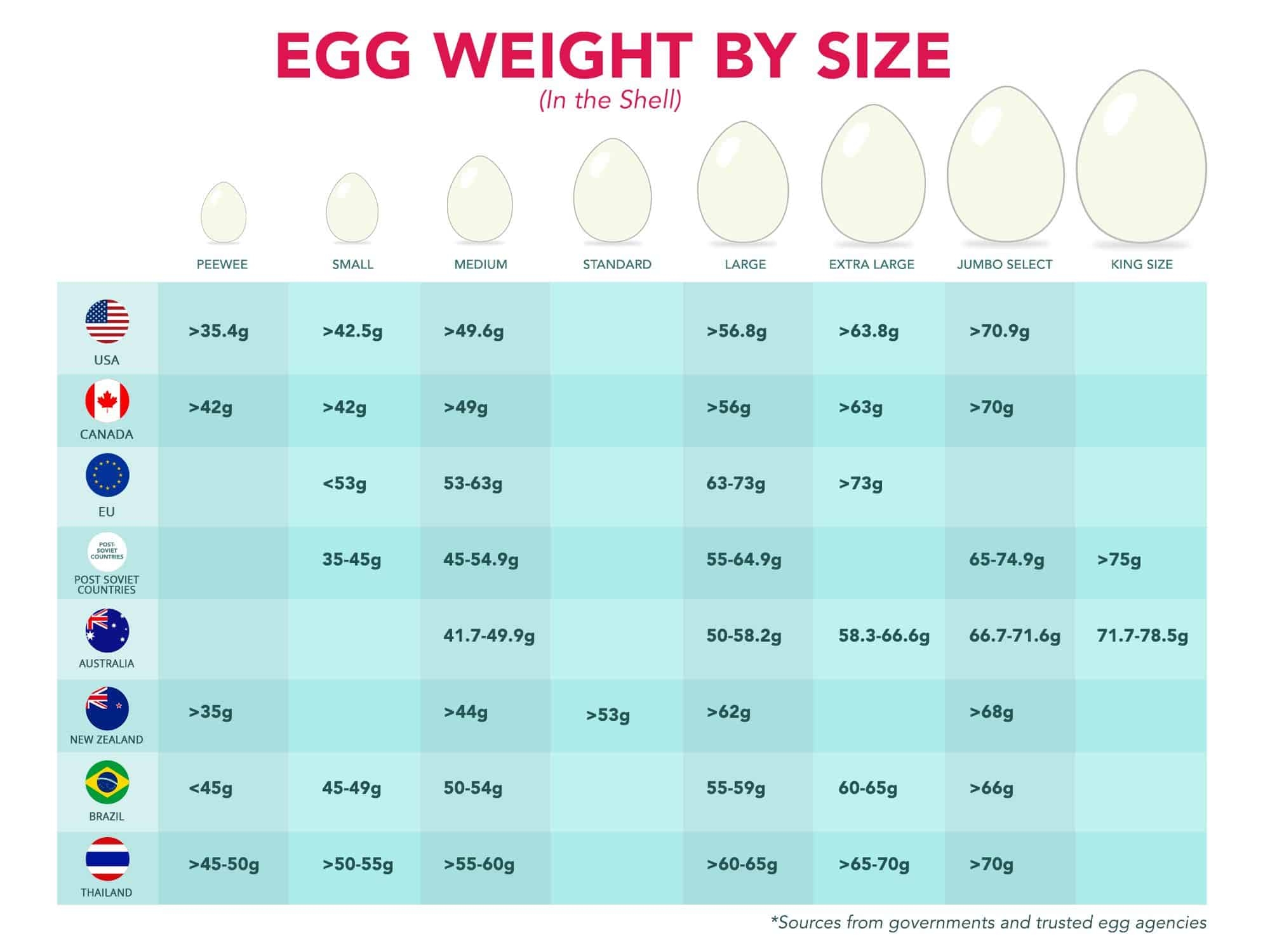 The Complete Guide To Different Egg Sizes FREE Measurement Chart