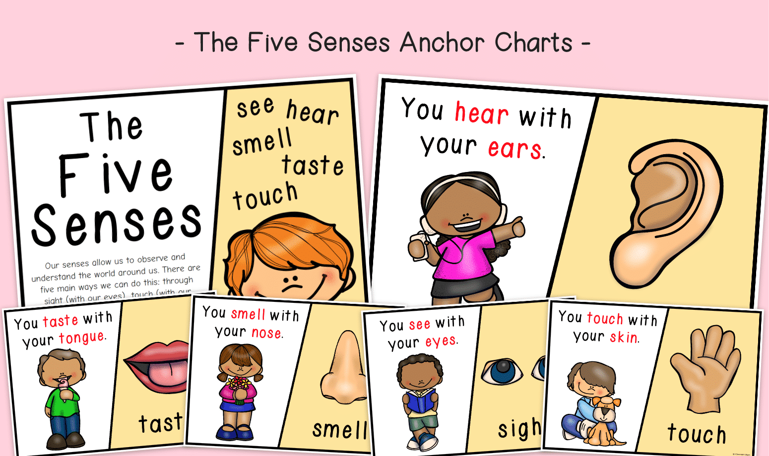 5 Senses Anchor Chart Printable 5 Senses Anchor Chart Printable