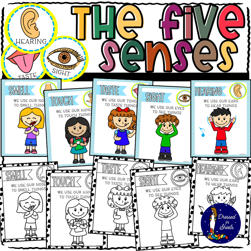 The Five Senses Posters For Kids Made By Teachers The Five Senses Posters For Kids Made By Teachers