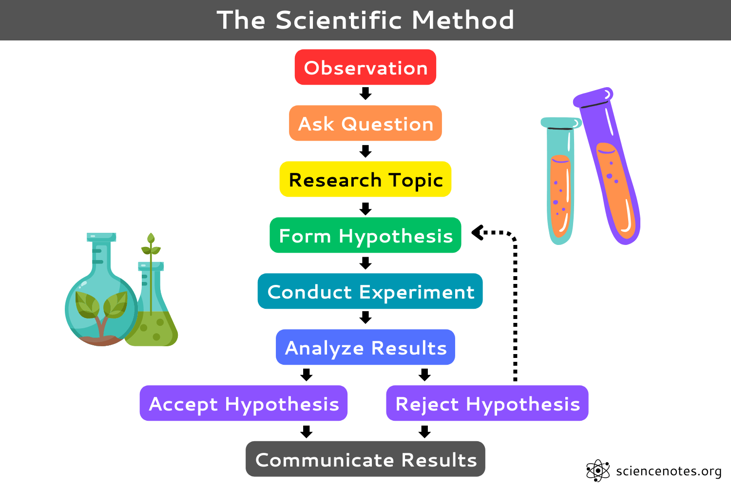 The Scientific Method The Scientific Method