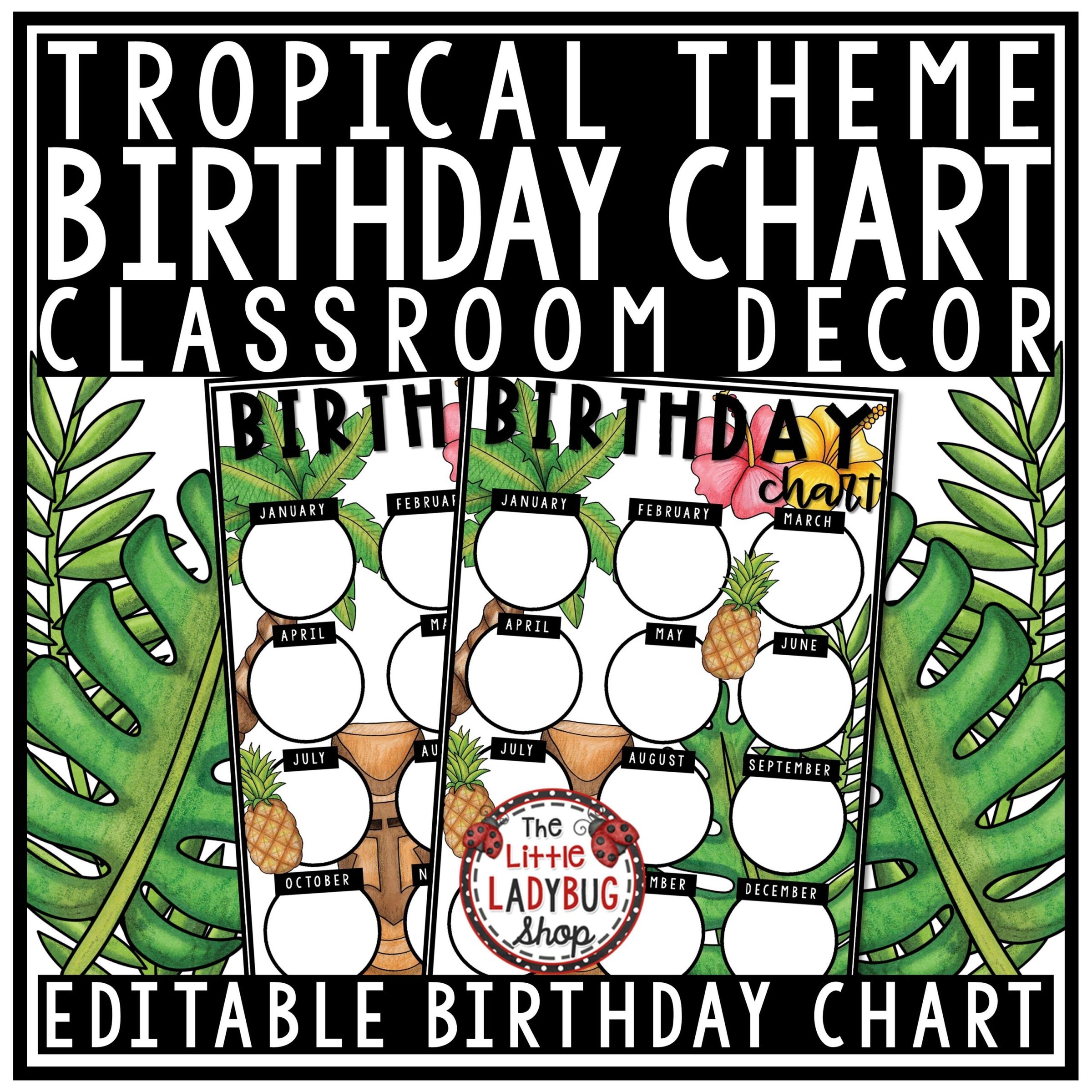 Tropical Theme Classroom Birthday Display Editable Printable The Little Ladybug Shop