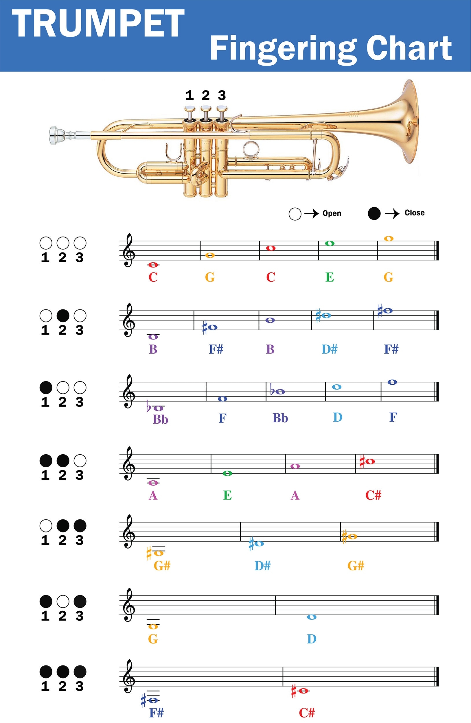 Trumpet Fingering Chart With Color coded Notes Learn Trumpet Technique Suitable For All Levels Etsy